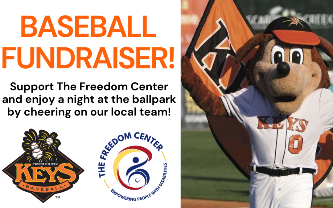Baseball Fundraiser