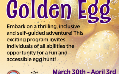 “Egg”ccessible for ALL: A Quest for the Golden Egg