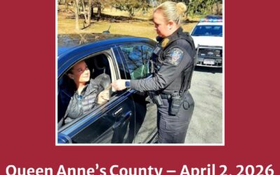 Traffic Stop Practice Session